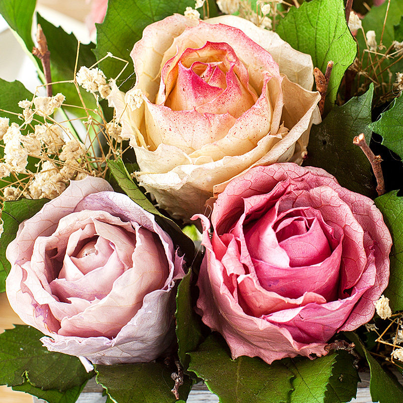 ����õ�廨�ڼ�yshxl