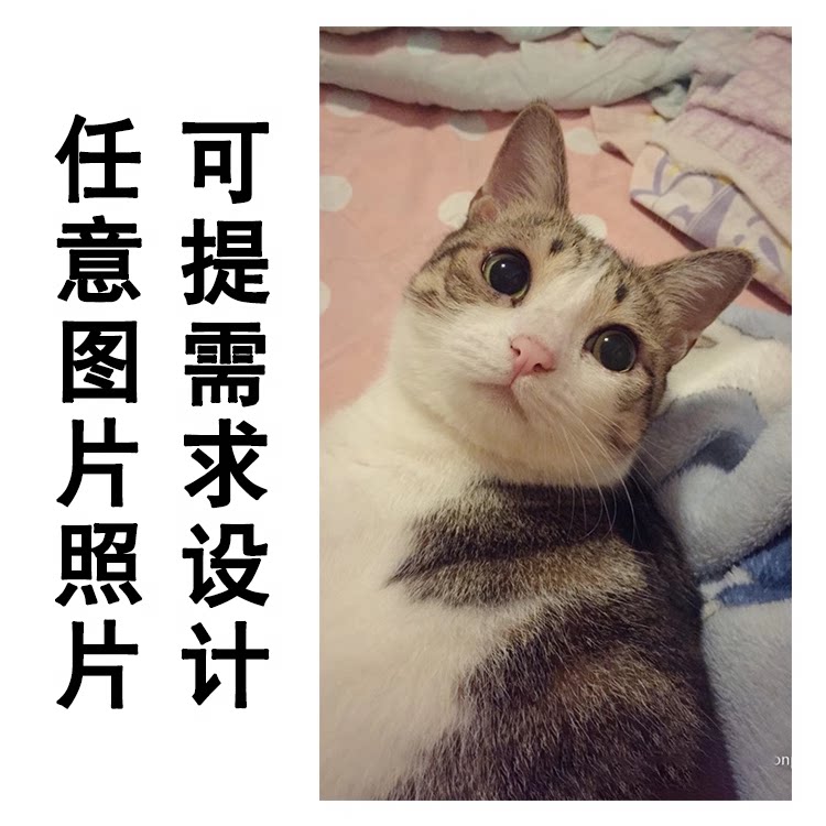 柚子不爱吃柚子的LOGO