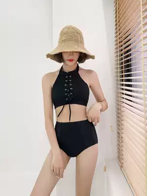 ins new retro two-piece sexy bikini with small breasts gathered conservative high waist to cover the belly and show thin hot spring swimsuit women