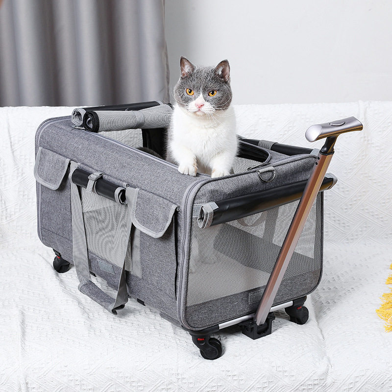 Two Cat Packs Out of Handy Universal Wheels Pet Canvas Pull-Lever Box Large Capacity Summer Breathable-Foldable Dog Bag