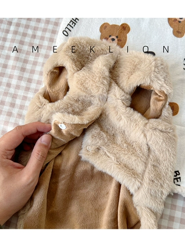 Мао -дюйский медвежь