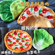 Cute pizza blanket for pets to keep warm in winter. Used by hamsters guinea pigs sugar gliders hedgehogs and rabbits.