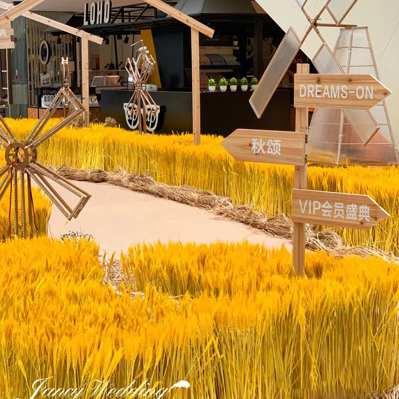 Dry Flower Wheat Rice Ears Wheat Ears Genuine Wheat Flower Art Natural Reed Mall Exhibition Hall Casual Farm Shooting Props