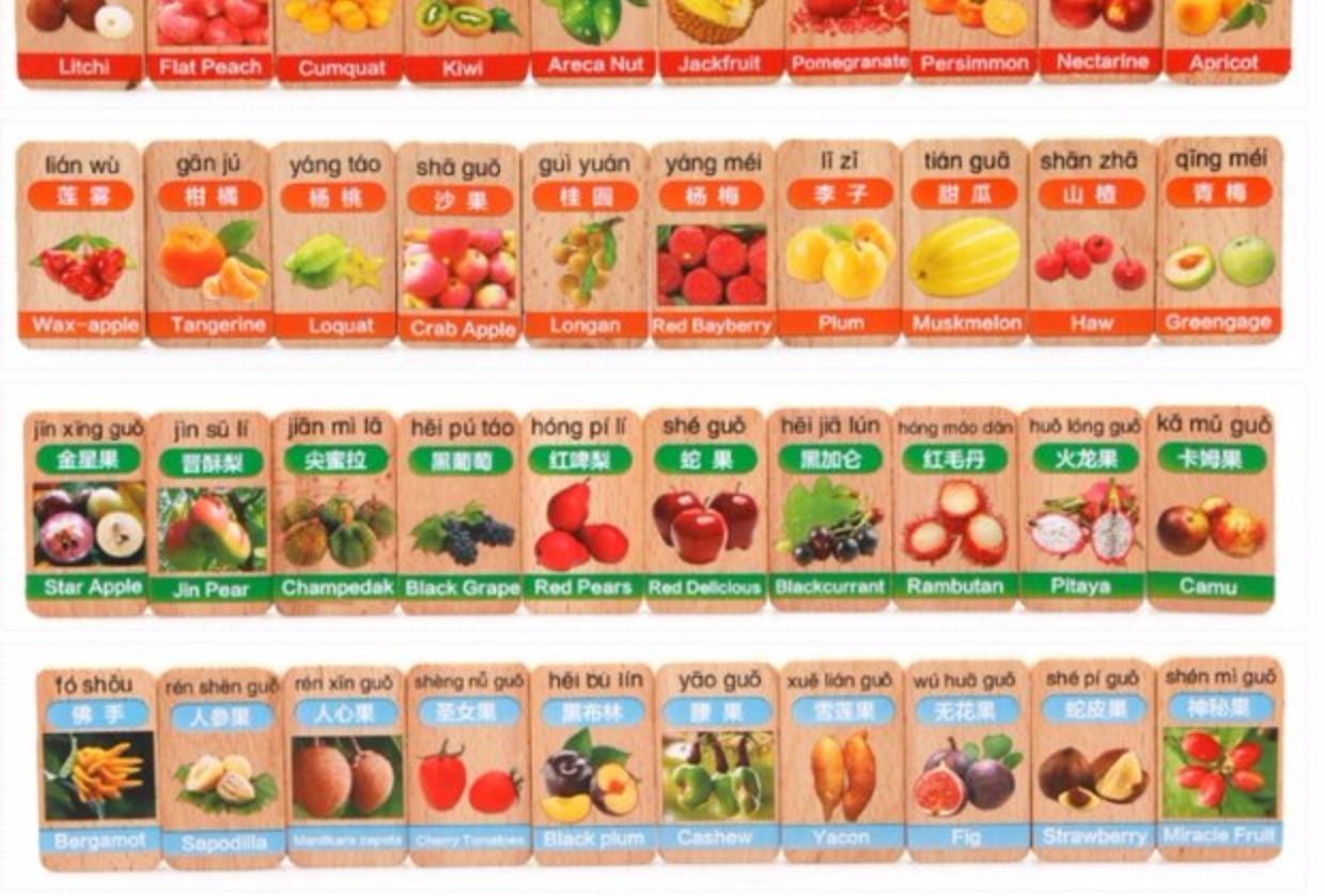 100 mảnh hình chữ nhật hai mặt chữ Hán domino nhận thức xây dựng khối giáo dục trẻ em 1-2-3-4-5-6 tuổi xe đẩy siêu thị cho bé