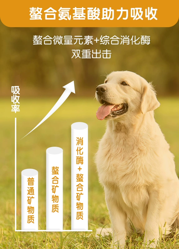 Hoa Kỳ trong máy tính bảng nguyên tố của Mede chó mèo Teddy Golden Retriever vật nuôi để ngăn chặn chứng chán ăn 150 viên - Cat / Dog Health bổ sung