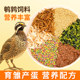 Quail feed ເມັດພືດໂພຊະນາການທີ່ສົມບູນແບບ crushed particles ຂະຫນາດນ້ອຍ quail ນົກອາຫານສັດປີກໄກ່ duck goose ration quail ສັດລ້ຽງທົ່ວໄປ