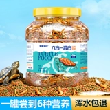 Черепаха кормить черепахой едой еда общая пища трава черепаха специальная сушена