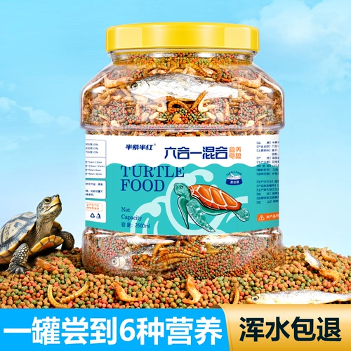 Черепаха кормить черепахой едой еда общая пища трава черепаха специальная сушена