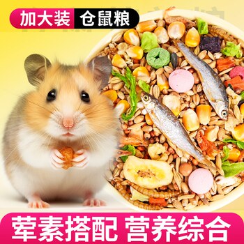 ອາຫານ hamster golden bear ອາຫານວ່າງອາຫານຫຼັກອາຫານສະຫນອງຫ້າເມັດໂພຊະນາການອາຫານຫຼັກອາຫານອາຫານເມັດພືດອື່ນໆອາຫານ hamster ຂະຫນາດນ້ອຍ