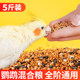 Parrot bird food tiger skin black phoenix peony bird food shelled yellow millet ຫ້າສີ millet ເມັດຂະຫນາດນ້ອຍປະສົມອາຫານພິເສດ