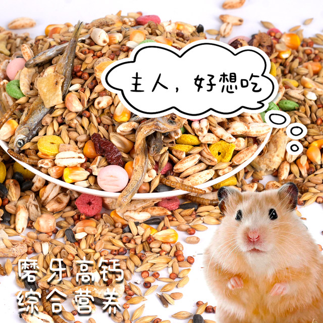 Hamster ອາຫານຟຸ່ມເຟືອຍອາຫານທະເລຫມາກໄມ້ແລະຜັກ hamster ອາຫານຫນູອາຫານ hamster ສະຫນອງອາຫານອາຫານຫຼັກອາຫານອາຫານໂພຊະນາການ