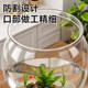 Desktop goldfish hydroponic ສີຂຽວພືດຂະຫນາດນ້ອຍ ecological landscaping tank betta fish tank ຄົວເຮືອນໂປ່ງໃສຕົກທົນທານຕໍ່ຫ້ອງການຫ້ອງດໍາລົງຊີວິດ