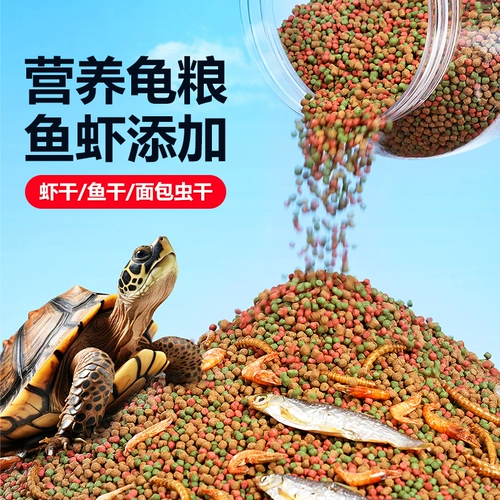 Черепаха кормить черепахой едой еда общая пища трава черепаха специальная сушена