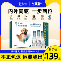 Import large favourite with large canine and inside and outside insect repellent pet dogs to flea lice gold wool dedicating ear mite dips