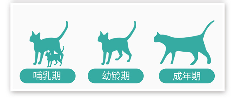 Thuốc nhỏ tai Baika, tai, tai, tai, chó chống viêm, mèo, loại bỏ tai, ống tai, làm sạch tai, rửa tai - Cat / Dog Beauty & Cleaning Supplies 	lược chải lông cho thỏ	