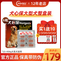 Forcome Dog Heart Pound Dog pooch with in vivo Worm Drug Nematodes Roundworm Roundworm Hearts Silk Worm Gold Wool Dog Hearts Treasure