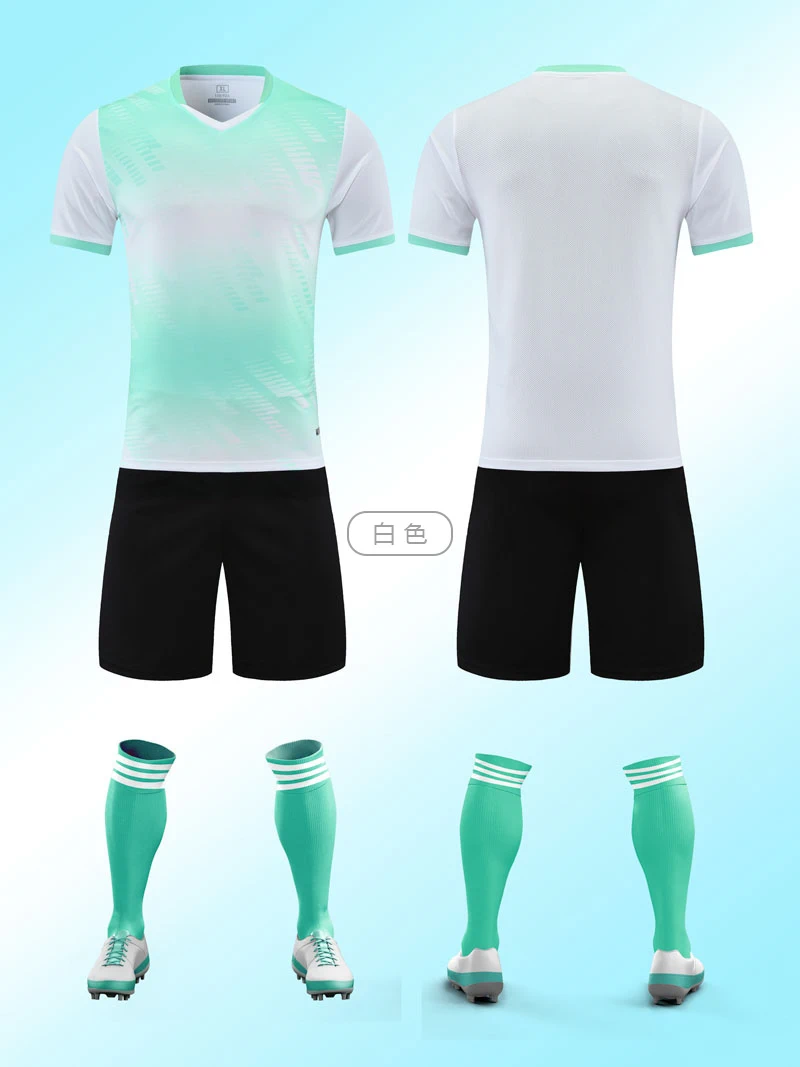 5029-3.webp