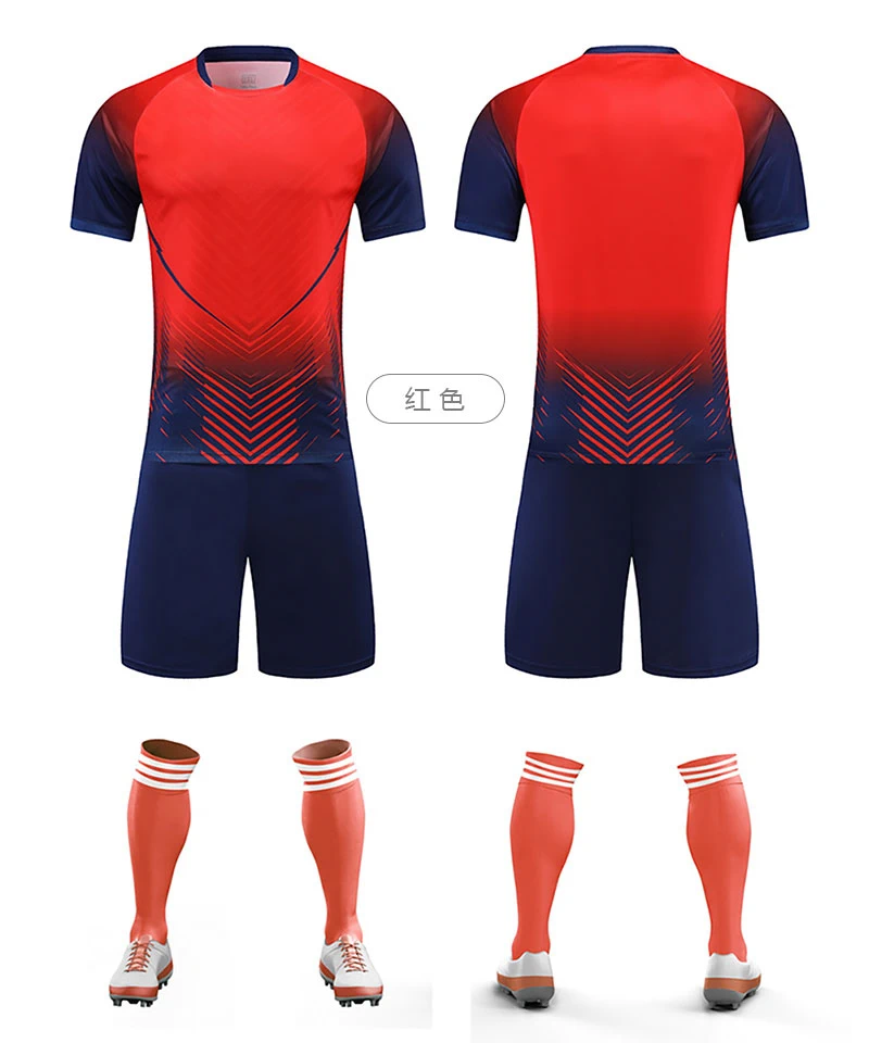 C5031-5.webp