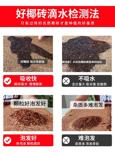Кокосовое кирпичное питание почва Универсальное кокосовое кокосовое кокосовое отруби с низким чисткой соли бесплатная доставка ручка кирпич