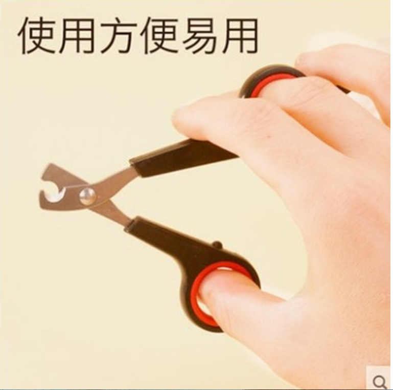 Rabbit Rabbit Guinea Pig Dutch Pig Pet Cat With Nail Clippers Cat Fingernail Clippers Nail Clippers