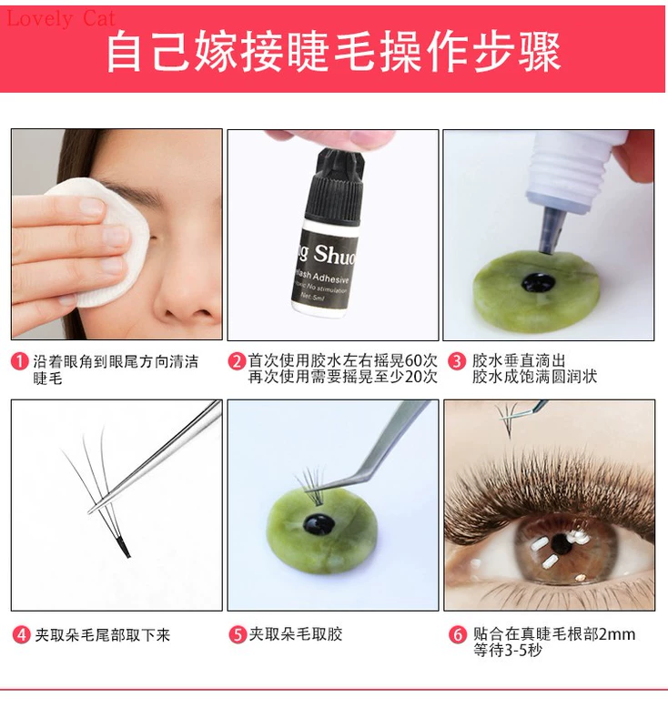Bộ lông mi ghép riêng tự nhiên Người mới bắt đầu Trồng cây làm đẹp Lông mi Ghép lông mi giả Bộ công cụ - Lông mi giả keo dán mi giả