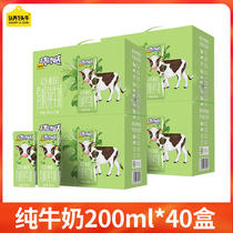 Recognition of a cow A 2 beta-casein Organic child pure milk 200ml * 10 boxes * 4 whole boxes