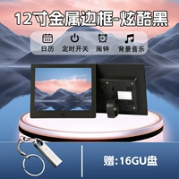 Неоновый USB-флеш-накопитель, фотография, 12 дюймов, 16G