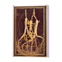 Changbai Mountain Ginseng Official Flagship Store Wild Ginseng Northeast Forest Ginseng Wine Special New Year Gift Box 2215