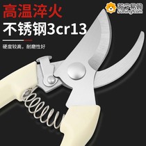 Gardening shears pruning shears flower shears garden floral shears branches fruit tree scissors branch shears flower scissors 824