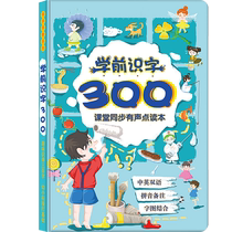 Variety of Pinyin Learning Artifacts for Children Reading Audio Books for Young Children 1 Audio Flip Chart 6 Pinyin Training 2027