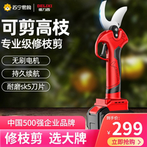 Delixi 885 brushless electric scissors for fruit trees rechargeable handheld pruning shears for garden branches lithium battery thick branch shears