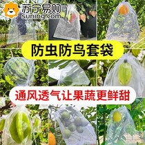 Fruit tree insect-proof mesh bag bird-proof mesh bag protection grape bag fig guava strawberry bagging peach 824