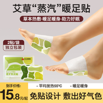 Agrass Foot Warm Foot Sticker Fever Sticker Over Winter Warm Stick hot compress Warm Foot Stick to sleep and warm on the soles of the feet 2433