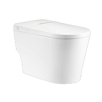 Wrigley home smart toilet AKE1129 all-in-one automatic flip-top toilet without water pressure limit 1768