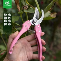 Worsch flower gardening flower cutting flower arrangement household flower branch flower shop special tool flower arrangement scissors 3068