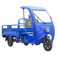 Принесите синюю голую автомобиль 1,5*1.