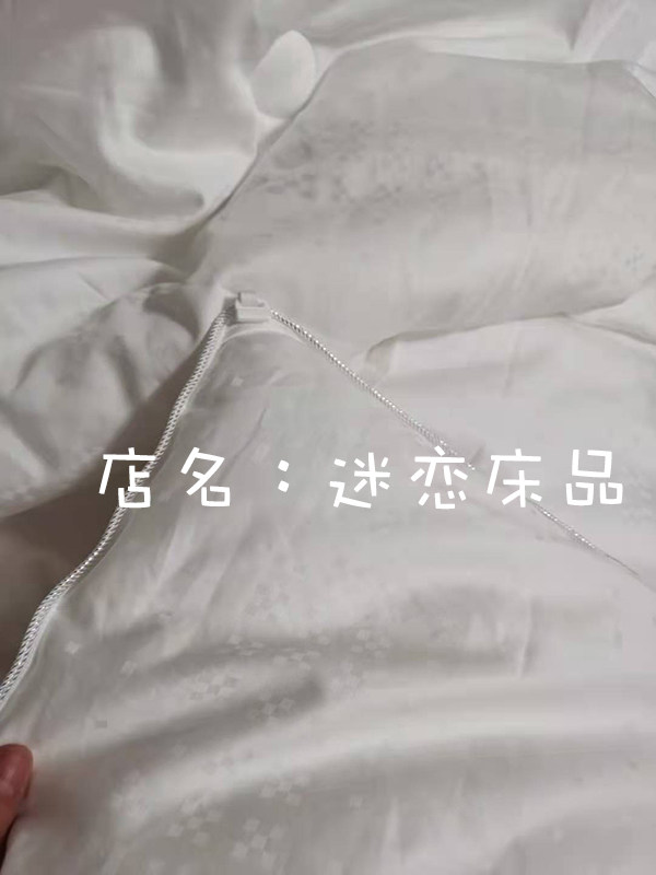 2022312 Start of special cabinet Spot price Double Palace Cocoon Silk Quilt brand