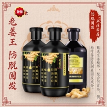 One spring autumn sister exclusive Gaodia old Jiang Wang ginger anti-hair hair shampoo repair oil control nourishes scalp