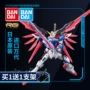 Mô hình chính hãng Bandai Gundam RG 11 1/144 Seed Destiny Gundam Destiny Gundam - Gundam / Mech Model / Robot / Transformers gundam lắp ráp