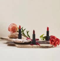 ACE Korea Euni Goddess Matt Lipstick Red Woman Temperament lasting not to pick up and not easy to decolorizing lip balm