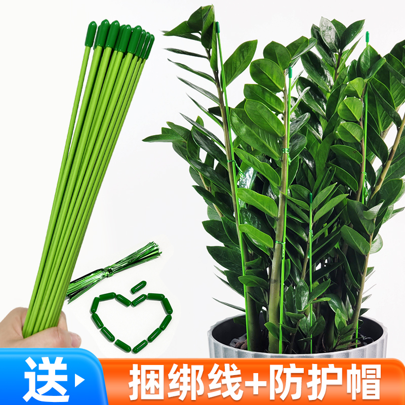 Money Tree Support Rod Gardening Flower Stand Plant Anti-Fall Climbing Trellis Butterfly Orchid Plastic-Coated Iron Wire Fixation