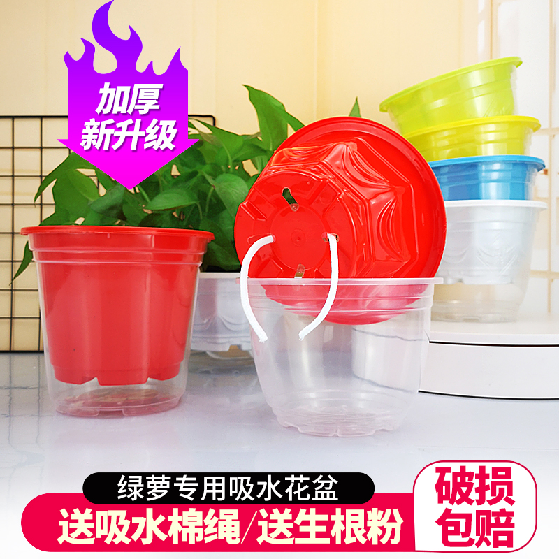 Gold Ge Flower Pot Chandelia Multimeat Gold Gge Plastic Large Diameter Thickened Household Sloth Automatic Water Absorbing Basin Water Storage 5 Sets