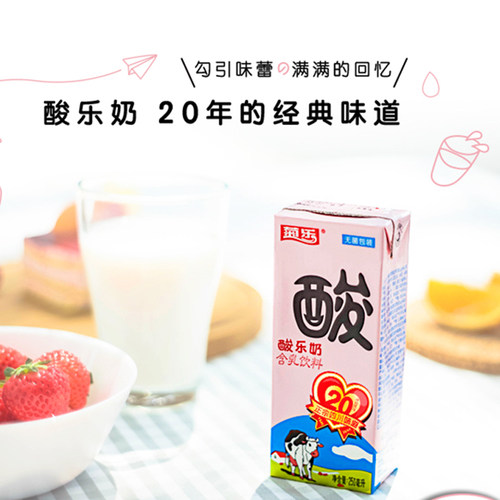 菊乐 酸乐奶牛奶250ml*12盒 