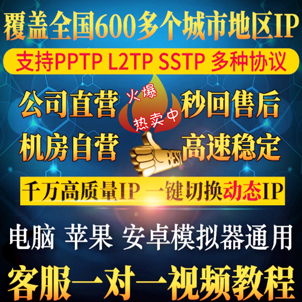 Dynamic ip Flag 91IP Agent pptp Address Modify Simulator server sstp static l2sp switcher