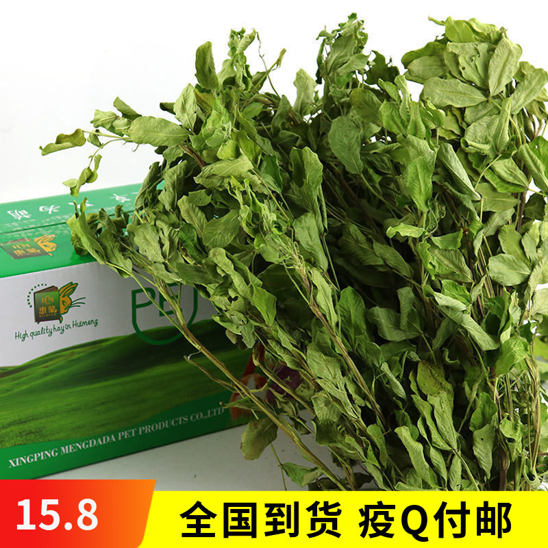 Whitmont Drying Peanut Grass Leaves 300g Rabbit Grass Dragon Cat Feed Grain Dutch Pig Hay 4 copies