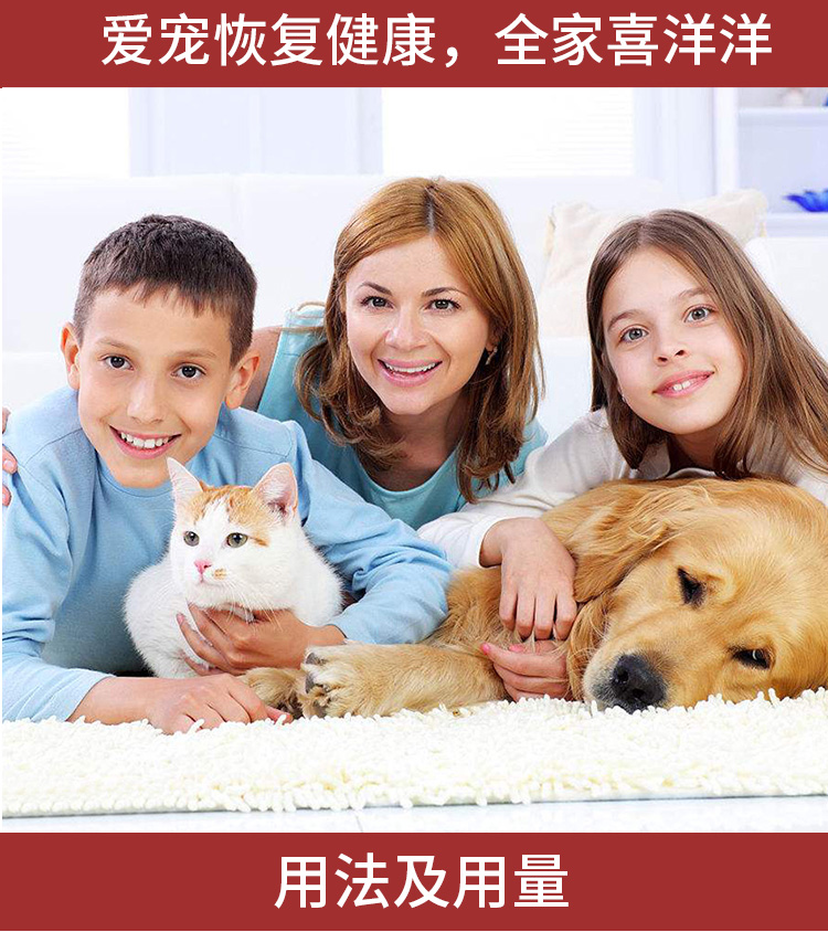 Pet da mèo đặc biệt kem xả lông bóng để làm trống phân để thúc đẩy bảo vệ sức khỏe đường tiêu hóa bằng miệng - Cat / Dog Medical Supplies Xi lanh tiêm thú y