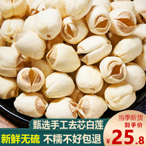 Ferme frais Maison blanche Produits secs de semences Main à cœur 250g Teneur en soufre Non-Special Grade Jianning White Lotus Hitch Lily Silver