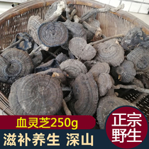 Blood Ganoderma Lucidum Wild deep mountain picking Nyingchi Long-legged whole Ganoderma Lucidum Natural Blood Ganoderma Lucidum 250g