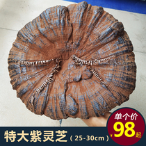 (25-30 cm)Extra large purple Ganoderma lucidum Semi-wild Ganoderma lucidum dried whole branches of Nyingchi powder Ganoderma lucidum ornaments to watch