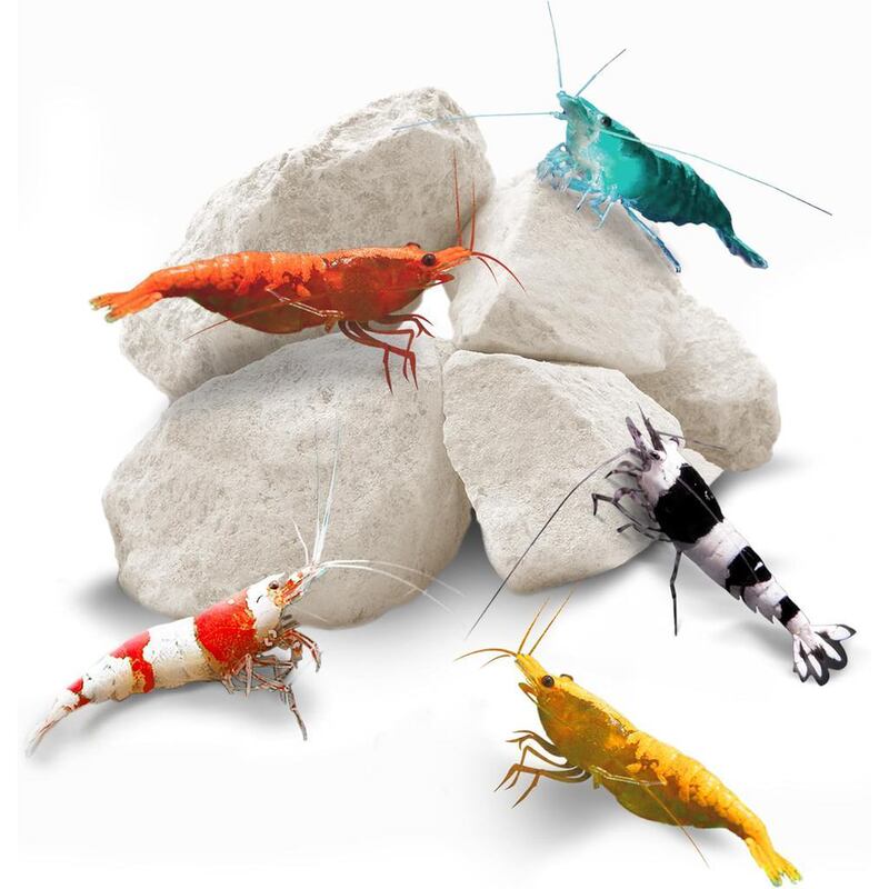 Shrimp Stone, Calcium and Magnesium Rocks Are Suitable as Filter Materials for Crayfish, Ornamental Shrimp, and Other Crustaceans in Shrimp Farming Tanks Shrimp Stone, Calcium and Magnesium Rocks Are Suitable as Filter Materials for Crayfish, Ornamental Shrimp, and Other Crustaceans in Shrimp Farming Tanks